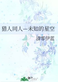 猎人同人—未知的星空